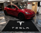 Tesla Rug