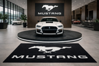 Mustang Rug