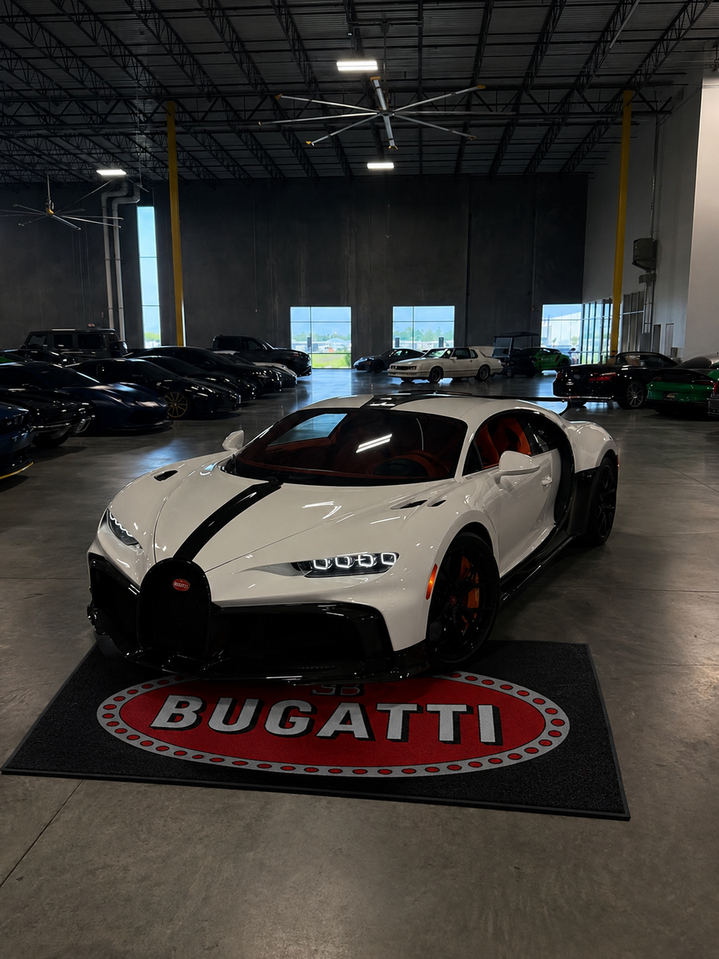 Bugatti Rug