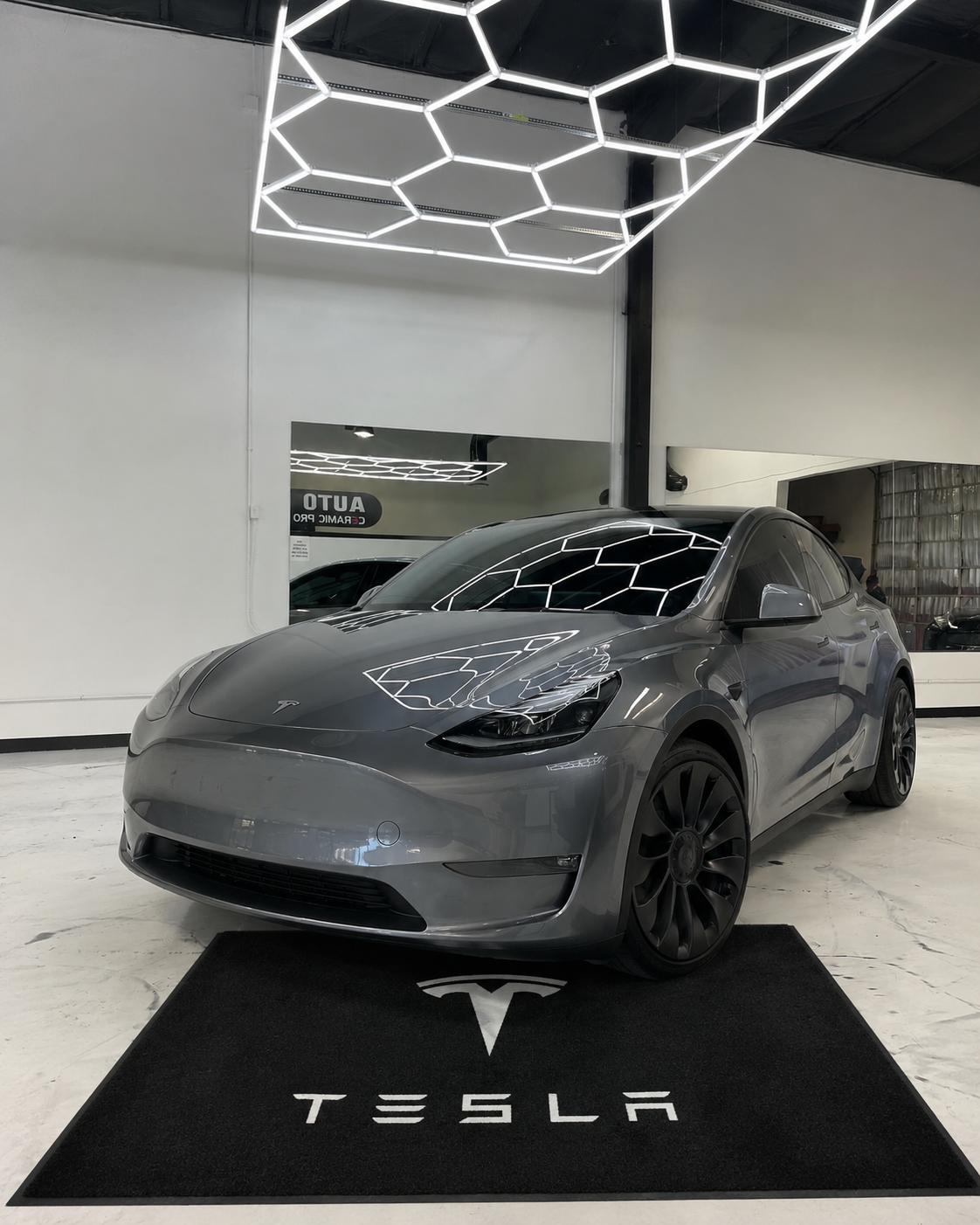 Tesla Rug