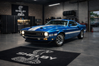 Mustang Shelby Rug