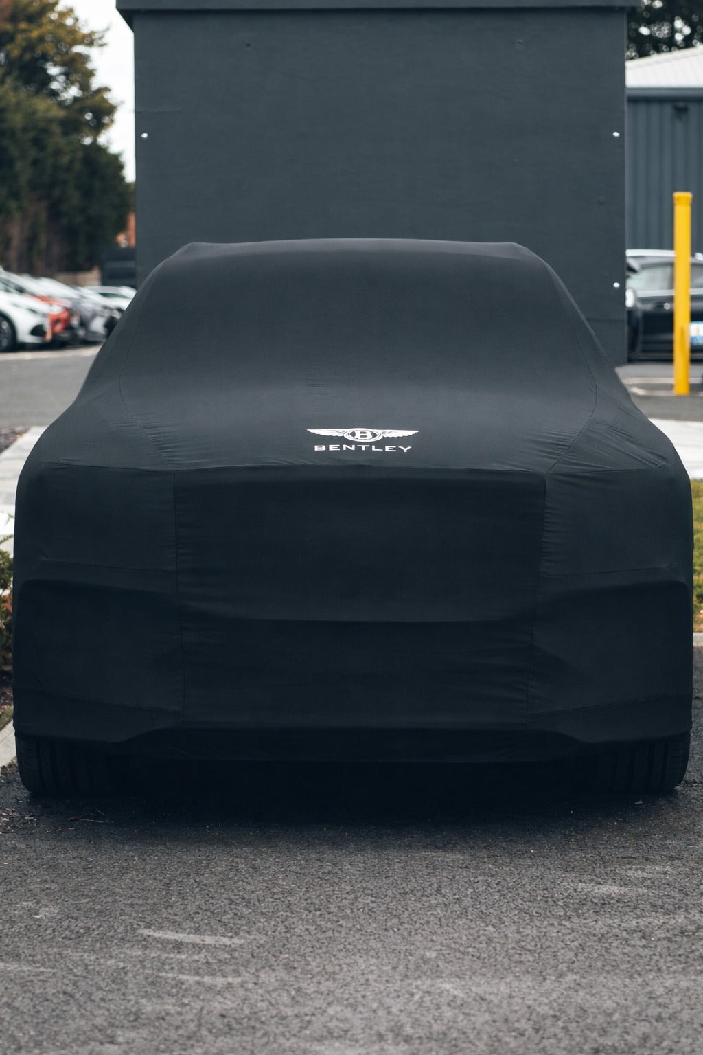 Bentley real car photo