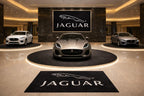 Jaguar Rug