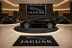 Jaguar Rug