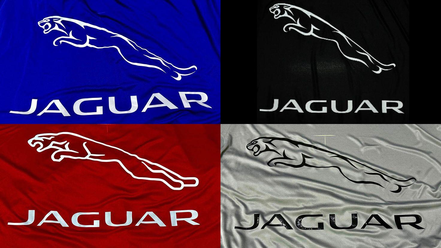 Jaguar real car photo