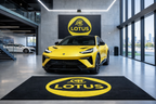 Lotus Rug