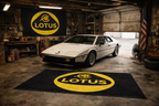 Lotus Rug