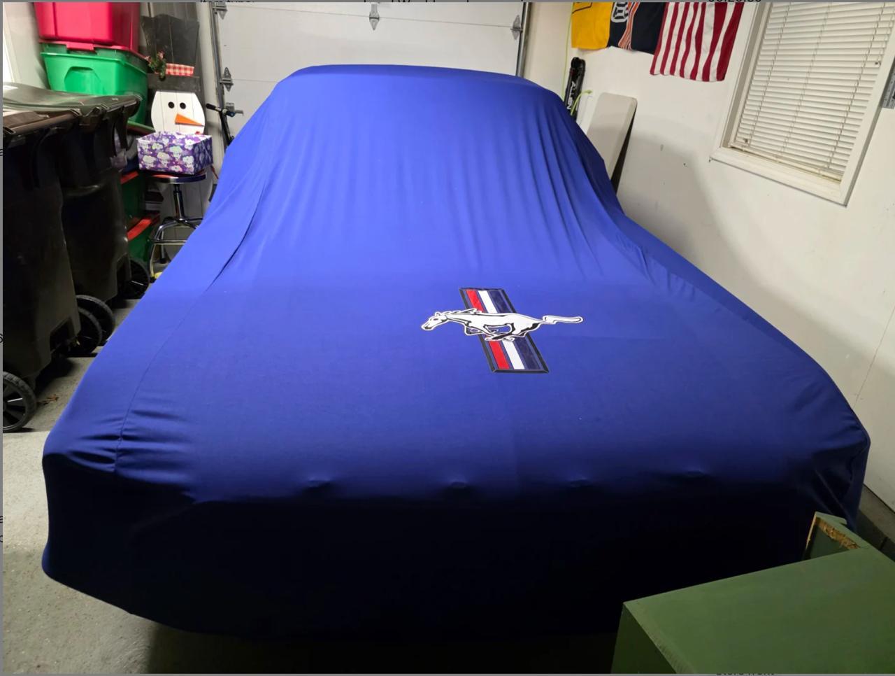 Ford Mustang real car photo