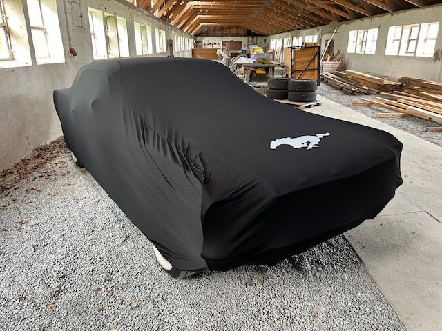 Ford Mustang real car photo