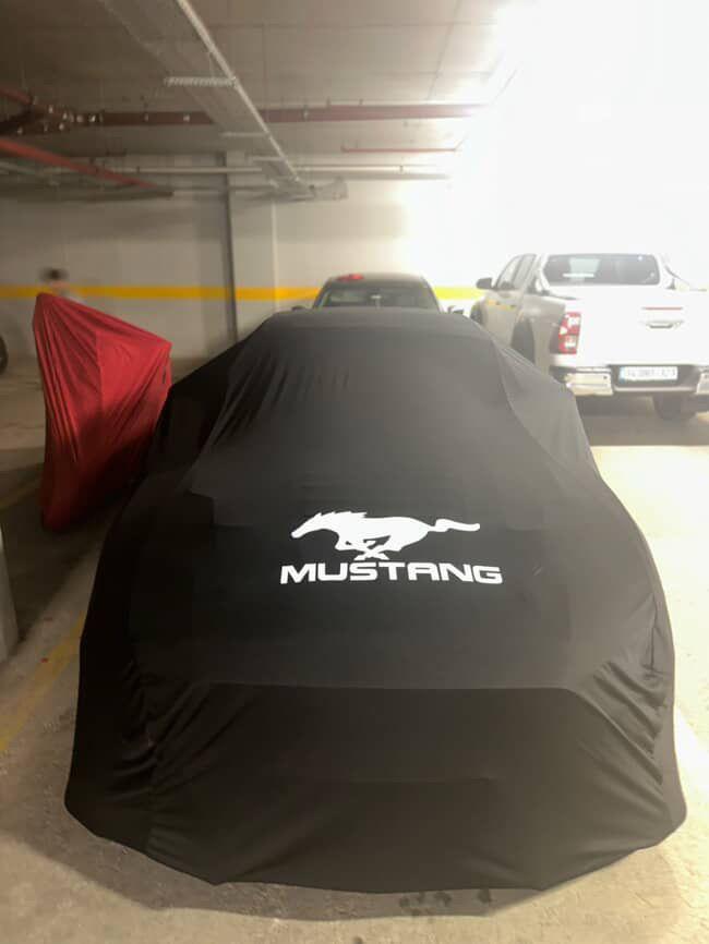 Ford Mustang real car photo