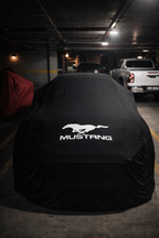 Ford Mustang real car photo