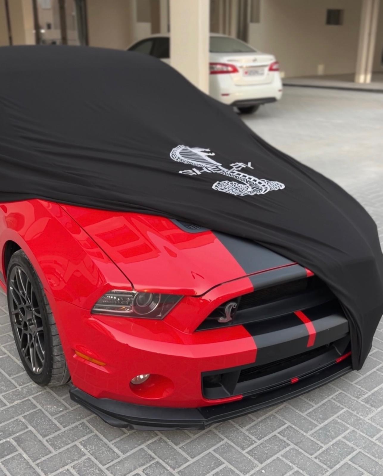 Ford Shelby real car photo