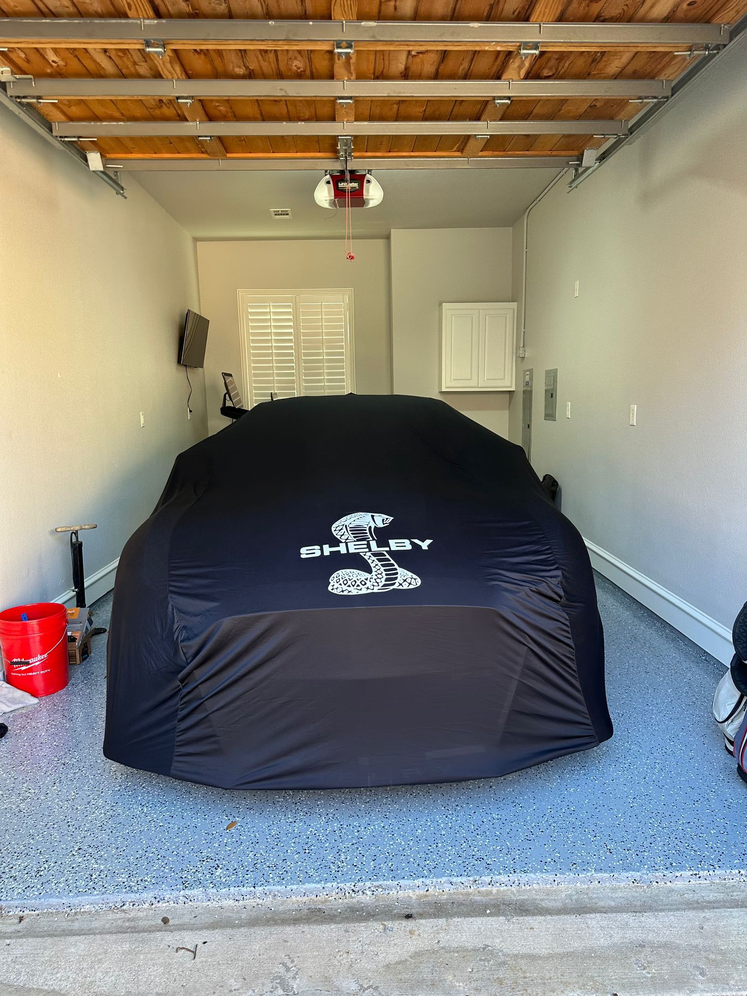 Ford Shelby real car photo