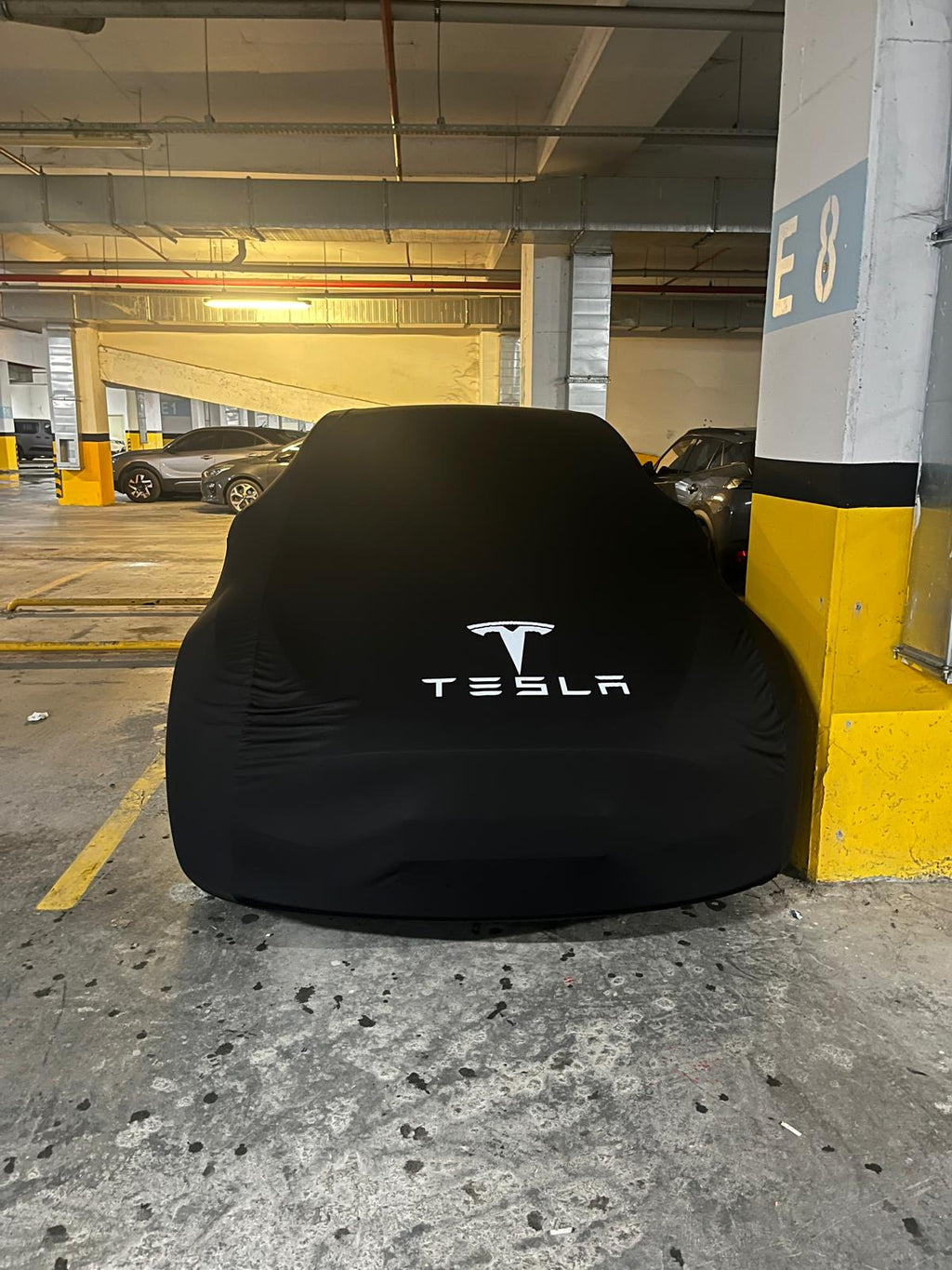 Tesla real car photo